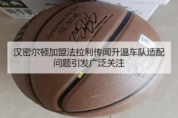 汉密尔顿加盟法拉利传闻升温车队适配问题引发广泛关注 | DOTA2